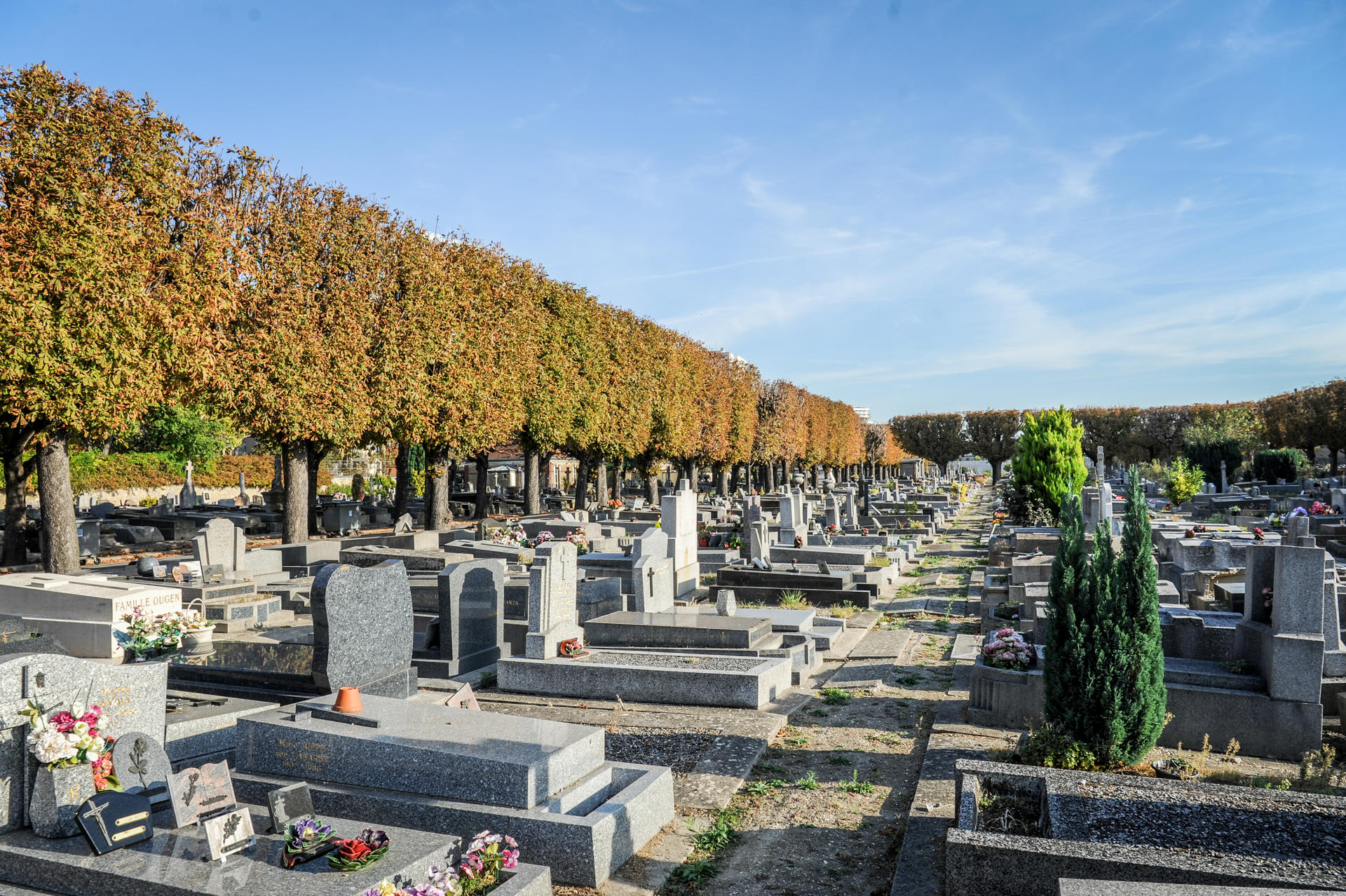 Mairie De Clichy La Garenne Acte De Naissance Gratuit Décès - Ville de Clichy
