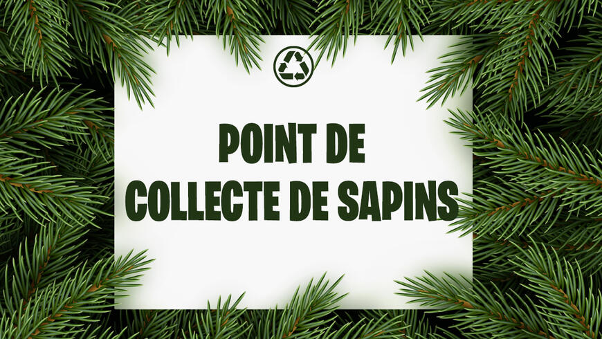 Déposez votre sapin dans un point de collecte avant le 30 janvier 2026 !