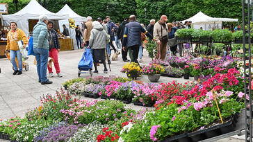 Marché aux plantes 2025