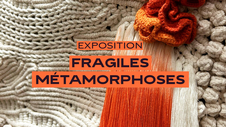 Exposition « Fragiles métamorphoses »