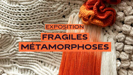 Exposition « Fragiles métamorphoses »