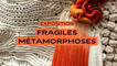 Exposition « Fragiles métamorphoses »