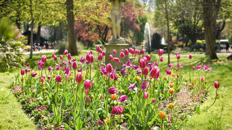 parc Salengro fleuri