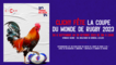 Coupe du monde de rugby 2023