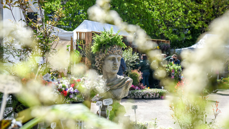 marché aux plantes 2022 clichy