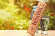 Plan canicule