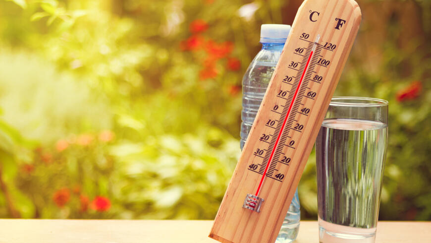 Plan canicule