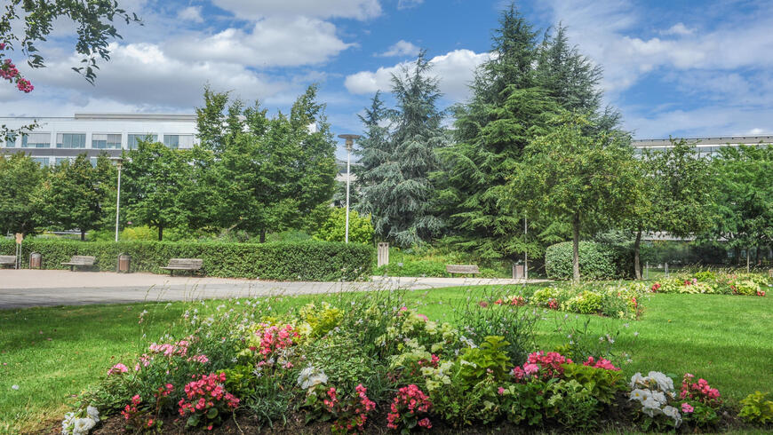 Antimoustiques : un nouveau dispositif au parc Mozart