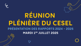 Réunion publique du CESEL