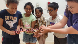 Les enfants construisent et programment leur propre mini-robot