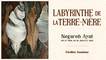 Exposition « Labyrinthe de la Terre-Mère »