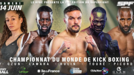 Championnat du monde de Kick Boxing 