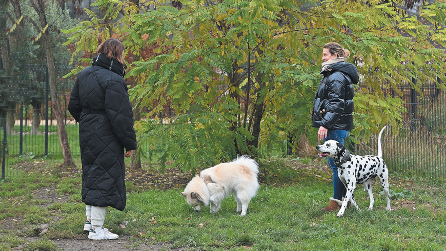 Caniparcs : la Ville sécurise l'accès avec un système de badges