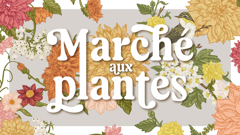 Marché aux plantes 2025