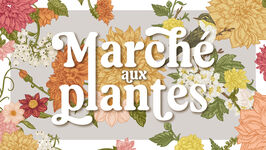 Marché aux plantes 2025