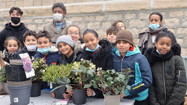 Des élèves de CM2 participent à la végétalisation d'un chantier